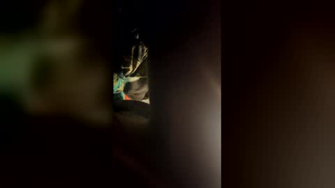 cowboy277228 online show from March 24, 2026, 7:24 am