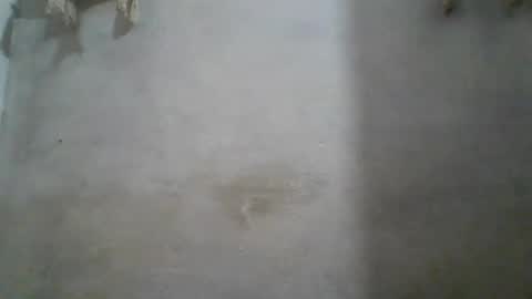 Snapshot of crazzy_booy chatting on June 11, 2026, 4:32 am crazzy_booy online show from June 11, 2026, 4:32 am