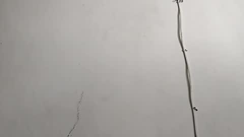 Snapshot of creamycocobabe chatting on April 29, 2026, 8:04 pm CreamyCocoBabe online show from April 29, 2026, 8:04 pm