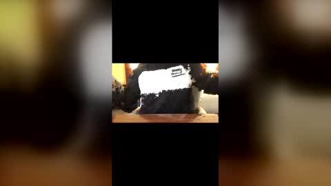 Curtis online show from March 22, 2026, 2:37 am