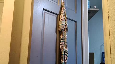 creamydilf11 online show from September 25, 2025, 8:56 pm