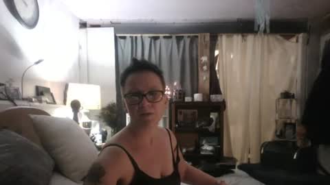 Tulip online show from December 2, 2024, 4:53 am