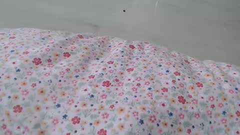 cristiyna36 online show from March 26, 2026, 12:11 pm