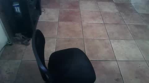 Snapshot of crossdressernola504 chatting on February 26, 2026, 6:29 pm crossdressernola504 online show from February 26, 2026, 6:29 pm