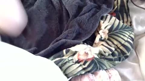 Snapshot of crucifux69 chatting on January 30, 2025, 8:31 pm Crucifux online show from January 30, 2025, 8:31 pm