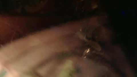 cryan96 online show from February 2, 2025, 6:31 pm