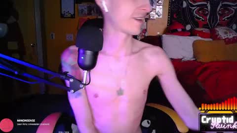 CryptidTwink online show from April 3, 2026, 6:22 am