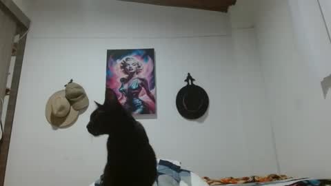 Crystal Blaze online show from March 17, 2026, 9:12 am