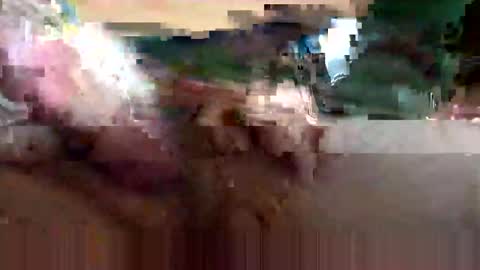 cubforotter online show from October 12, 2025, 6:51 pm