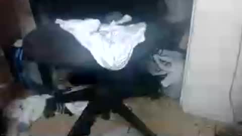 XXXBIGBLACKDICCK online show from June 14, 2026, 3:19 am