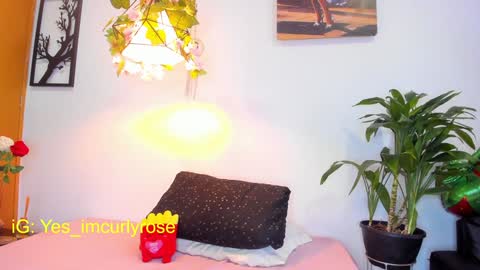 Rose online show from January 28, 2025, 8:04 pm