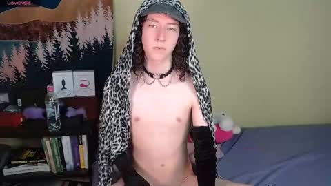 Snapshot of curlyytwink chatting on December 19, 2024, 4:02 pm Noah online show from December 19, 2024, 4:02 pm