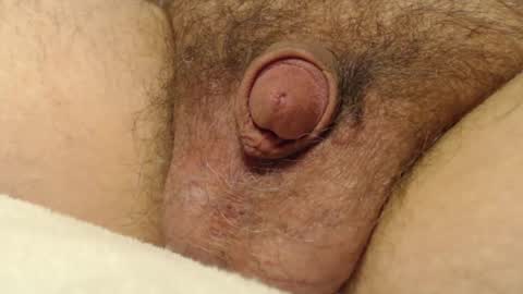 Snapshot of curve66 chatting on December 4, 2025, 3:38 am curve66 online show from December 4, 2025, 3:38 am