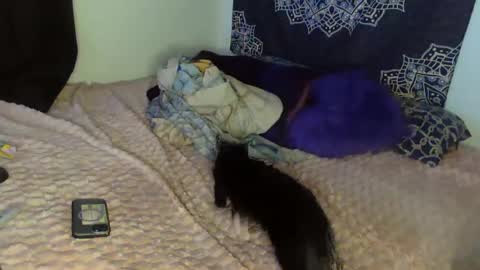 Snapshot of curvybcelinemixe chatting on February 8, 2025, 4:47 am Cline online show from February 8, 2025, 4:47 am