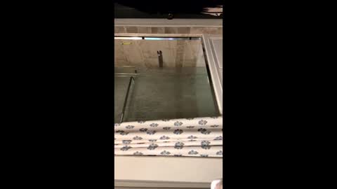 curvyd454066 online show from September 26, 2025, 7:07 pm