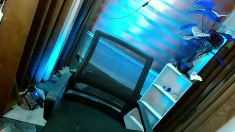 Snapshot of curybb_hanna19 chatting on May 18, 2026, 12:55 pm BBY CURLYHANNA online show from May 18, 2026, 12:55 pm