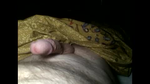 Snapshot of cutcockguy1975 chatting on January 28, 2025, 7:22 am Steve online show from January 28, 2025, 7:22 am