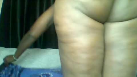 Nelly online show from June 24, 2026, 7:51 am