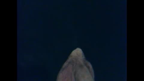 Snapshot of cutieguy86 chatting on October 26, 2025, 1:33 am CutieBoy online show from October 26, 2025, 1:33 am