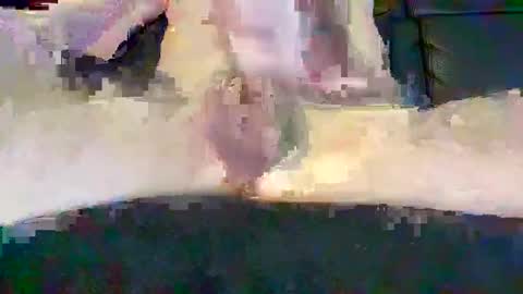 Snapshot of cwaddle chatting on February 16, 2025, 3:48 pm cwaddle online show from February 16, 2025, 3:48 pm