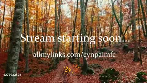 Cynpai online show from September 29, 2025, 2:38 am
