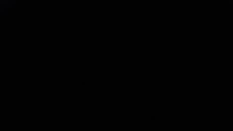 DDick online show from November 29, 2025, 9:12 am