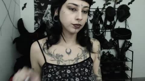 dakota online show from May 15, 2026, 2:40 am