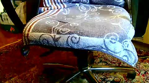 Dammerl online show from January 23, 2025, 1:24 pm