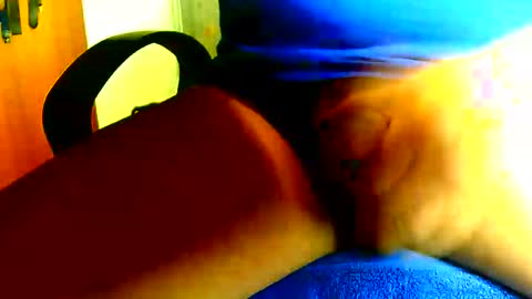 Dammerl online show from November 7, 2025, 10:59 am