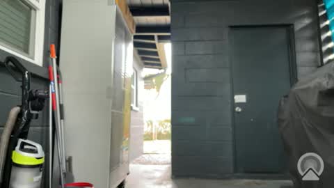 Clyde online show from November 9, 2025, 6:28 pm