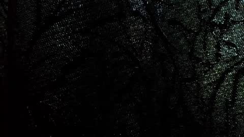 Damson online show from September 28, 2025, 8:09 am