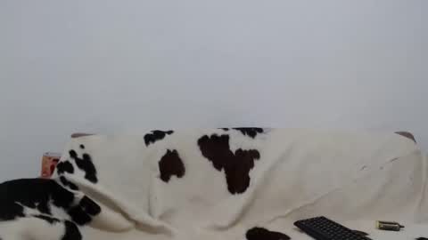 dan_jonson15 online show from November 26, 2025, 6:31 pm