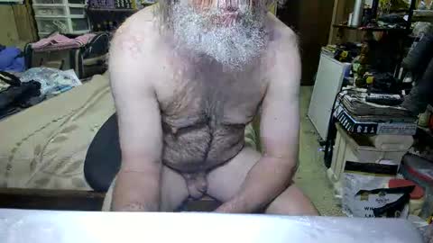 Snapshot of danagm chatting on April 19, 2026, 2:49 pm Dana online show from April 19, 2026, 2:49 pm
