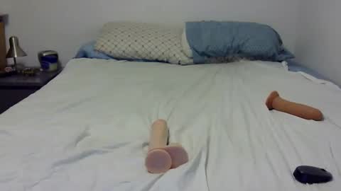 Snapshot of dandyhandys chatting on December 30, 2024, 5:04 am Andy online show from December 30, 2024, 5:04 am