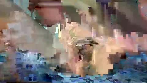 daniel_griffin online show from May 20, 2026, 6:47 pm