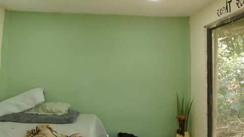 danielitopapii online show from January 16, 2026, 4:00 pm