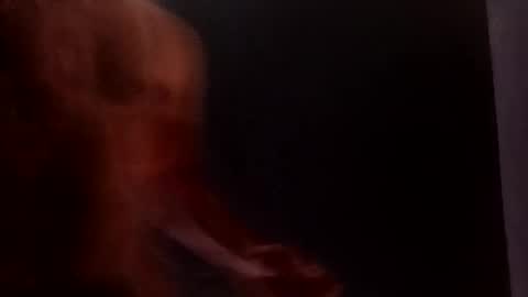 daniwood473904 online show from April 4, 2026, 3:38 am