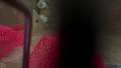 Snapshot of dankcock69420 chatting on November 17, 2025, 5:24 am dankcock69420 online show from November 17, 2025, 5:24 am