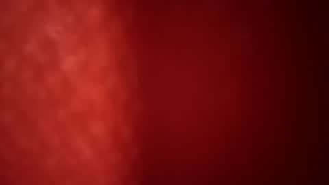 Snapshot of dankshepp chatting on June 19, 2026, 11:58 am dandeb online show from June 19, 2026, 11:58 am