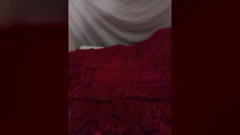 Snapshot of dankshepp chatting on July 1, 2026, 11:04 pm dandeb online show from July 1, 2026, 11:04 pm