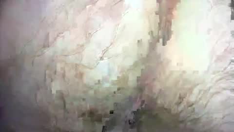 dankz4two0 online show from December 21, 2024, 1:32 pm