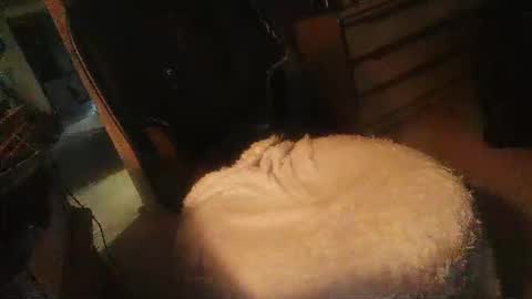 Danielle online show from April 16, 2026, 11:29 pm