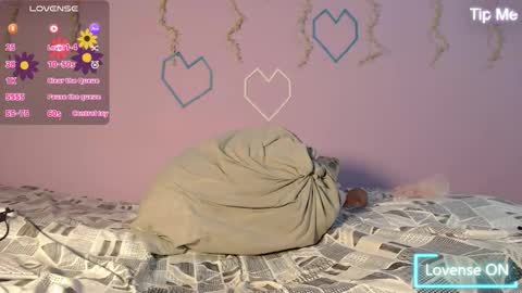 dante_bear online show from February 13, 2026, 11:17 am