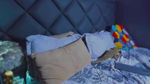 Snapshot of dany_dryy chatting on January 17, 2026, 6:11 pm Dany online show from January 17, 2026, 6:11 pm