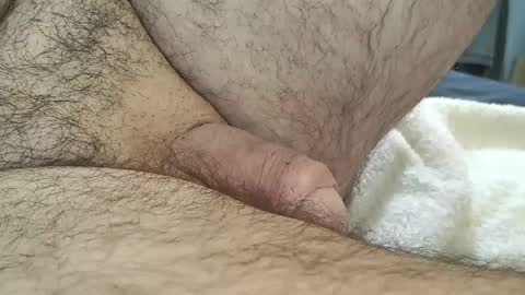 Snapshot of dapppper chatting on September 9, 2025, 3:11 pm dapppper online show from September 9, 2025, 3:11 pm