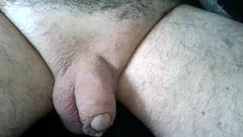 dapppper online show from June 2, 2026, 11:56 am