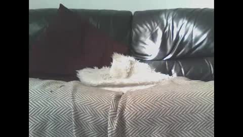 Snapshot of darealdondaddy chatting on March 9, 2025, 11:58 am DaRealDonDaddy online show from March 9, 2025, 11:58 am