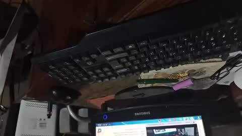 dario48 online show from November 3, 2025, 6:47 am