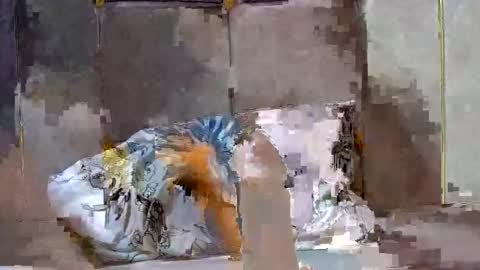 Snapshot of dark_candy254 chatting on December 13, 2024, 3:54 pm Dark Candy 254 online show from December 13, 2024, 3:54 pm