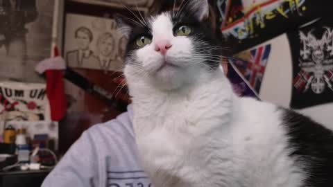 Darkness online show from December 5, 2024, 10:12 pm